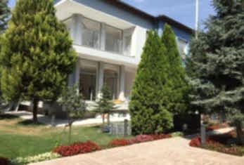 Yeşilköy Parke Ustası